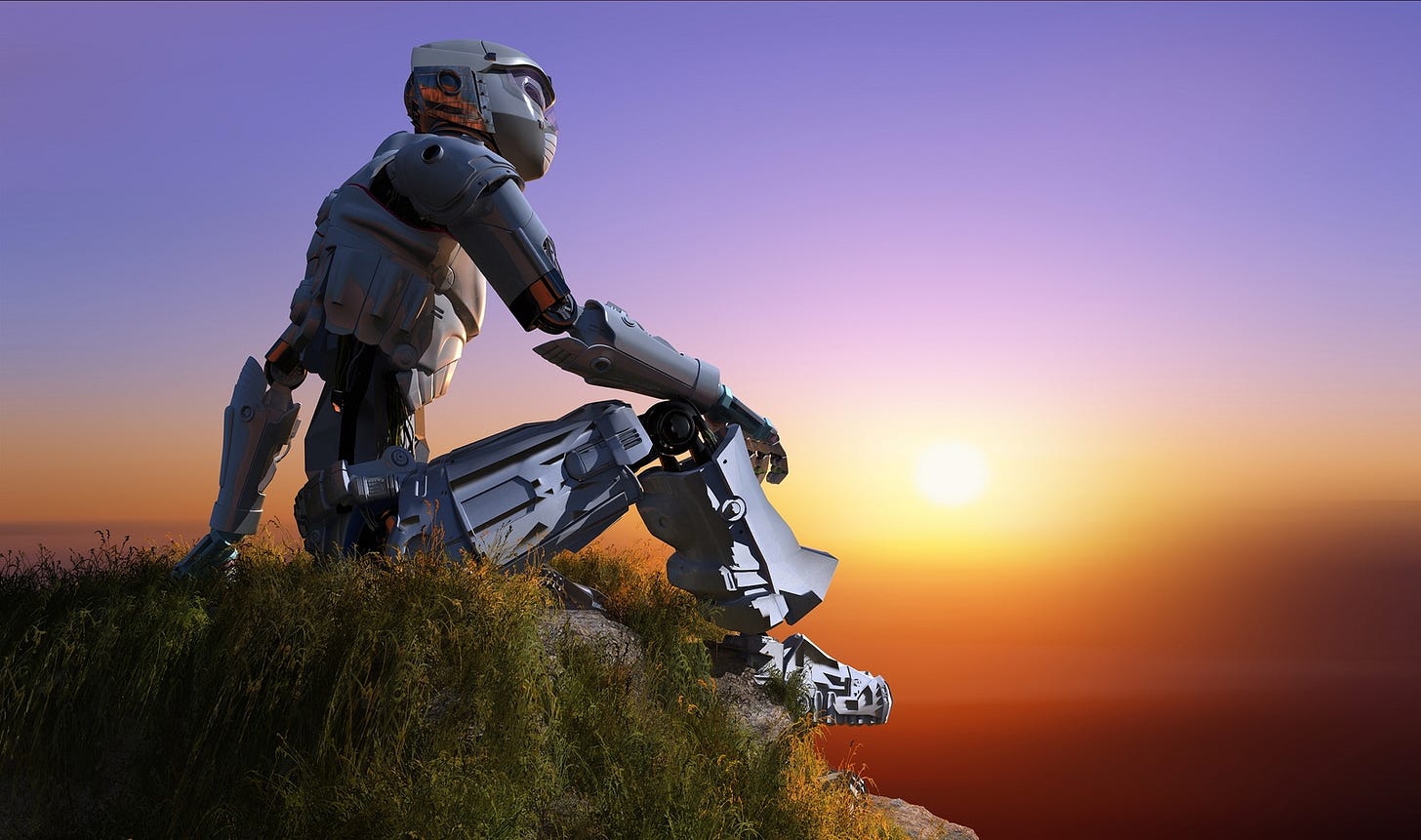 A humanoid robot still atop a grassy hill while the sun sets over the red-tinged valley spread below it.