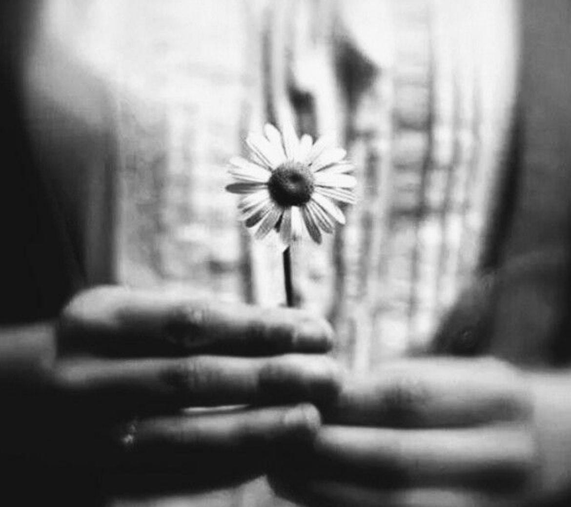 May be a black-and-white image of flower May be a black-and-white image of flower