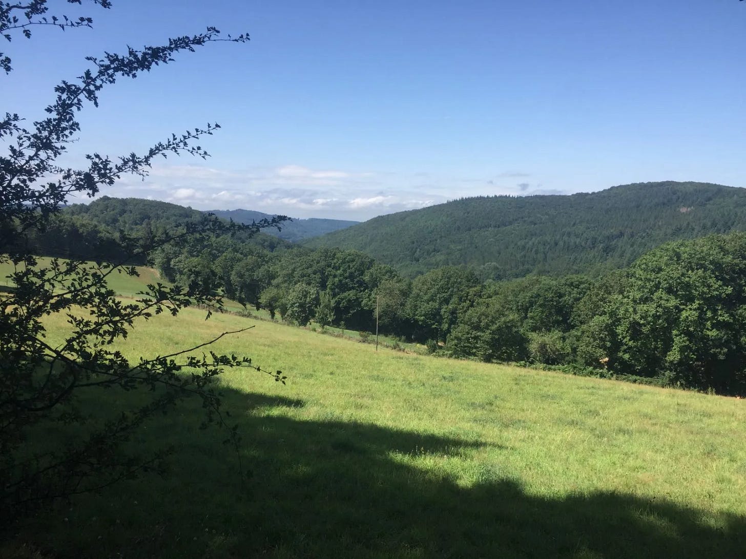 Les monts de Lacaune Les monts de Lacaune