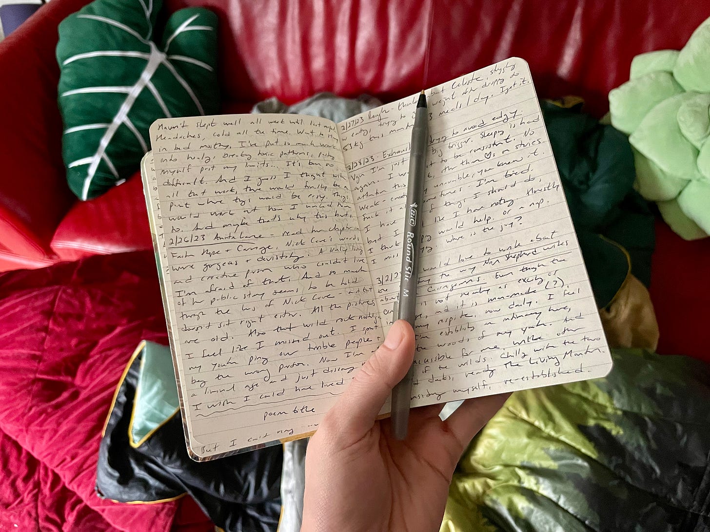 Photograph of a handwritten journal, held by a hand against a background of a red leather couch covered in succulent pillows and blankets.