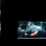 The Toronto School Of Perception Newsletter