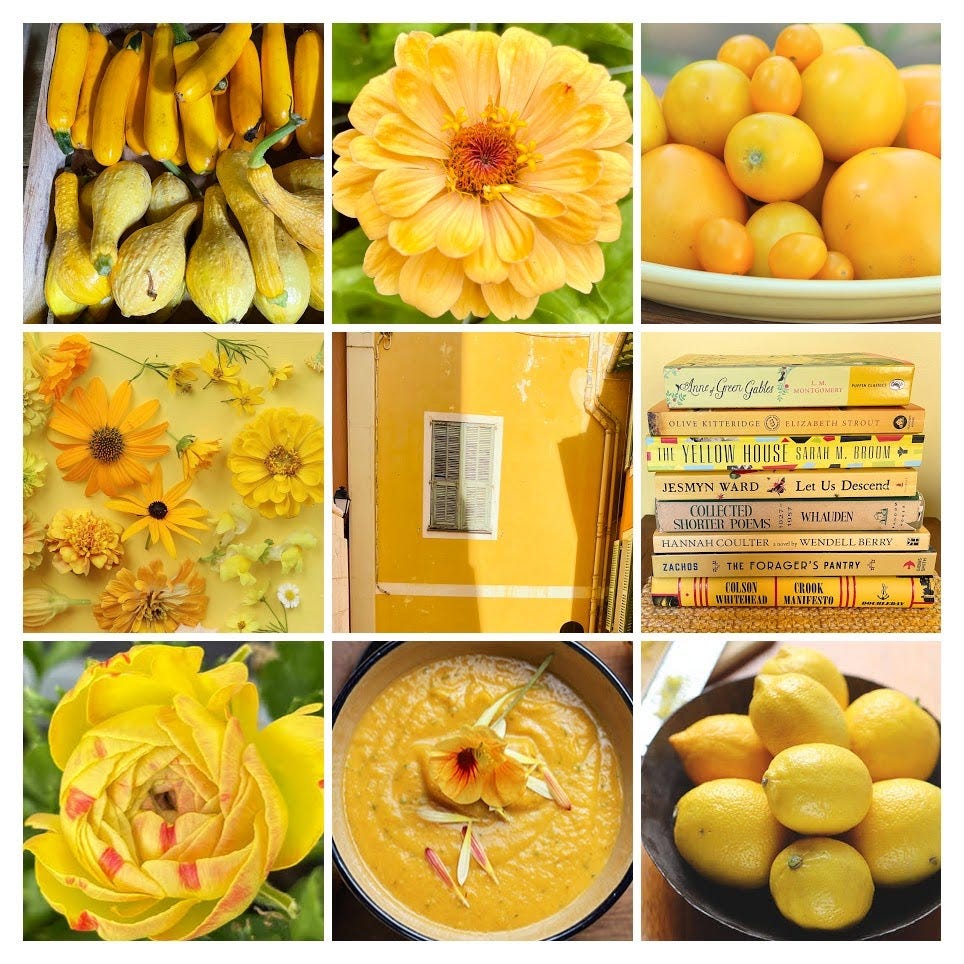 Garden Gram No. 27: Ten Favorite Yellow Flowers to Grow