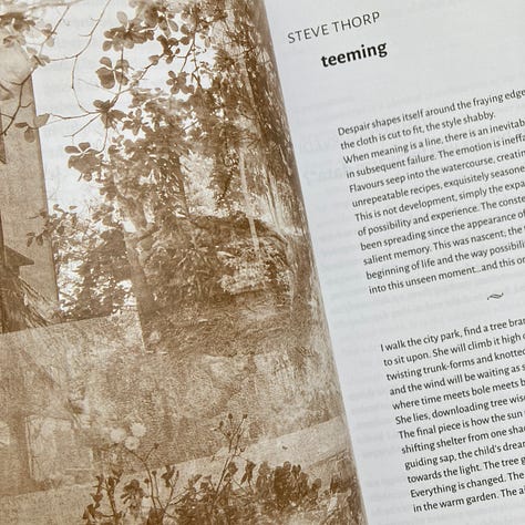 The grid shows images from An Anthology of Warm Data, including the cover and various illustrated pages form the magazine.