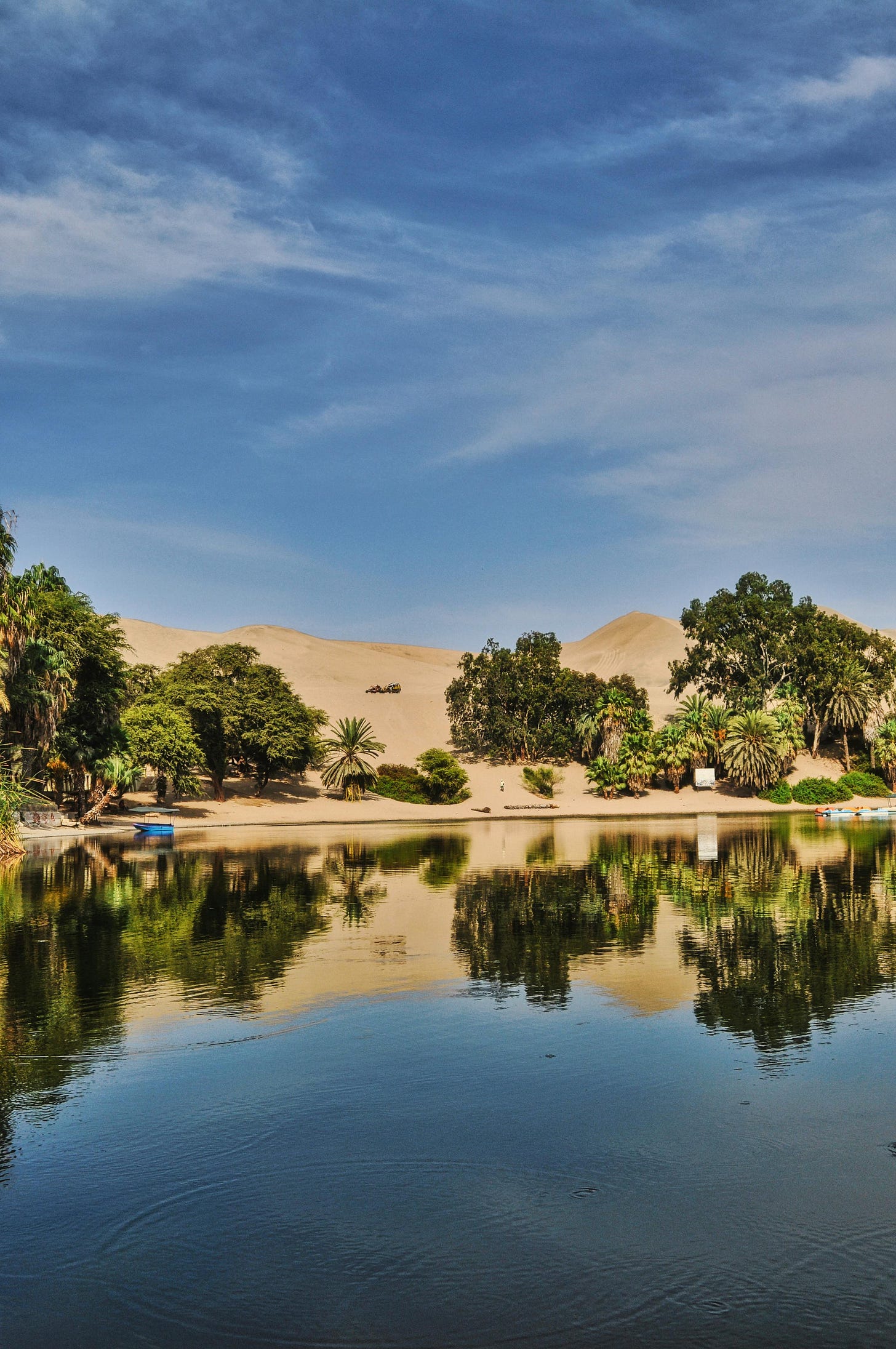 A desert oasis with a beautiful reflection. 