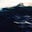 森｜moriのアバター