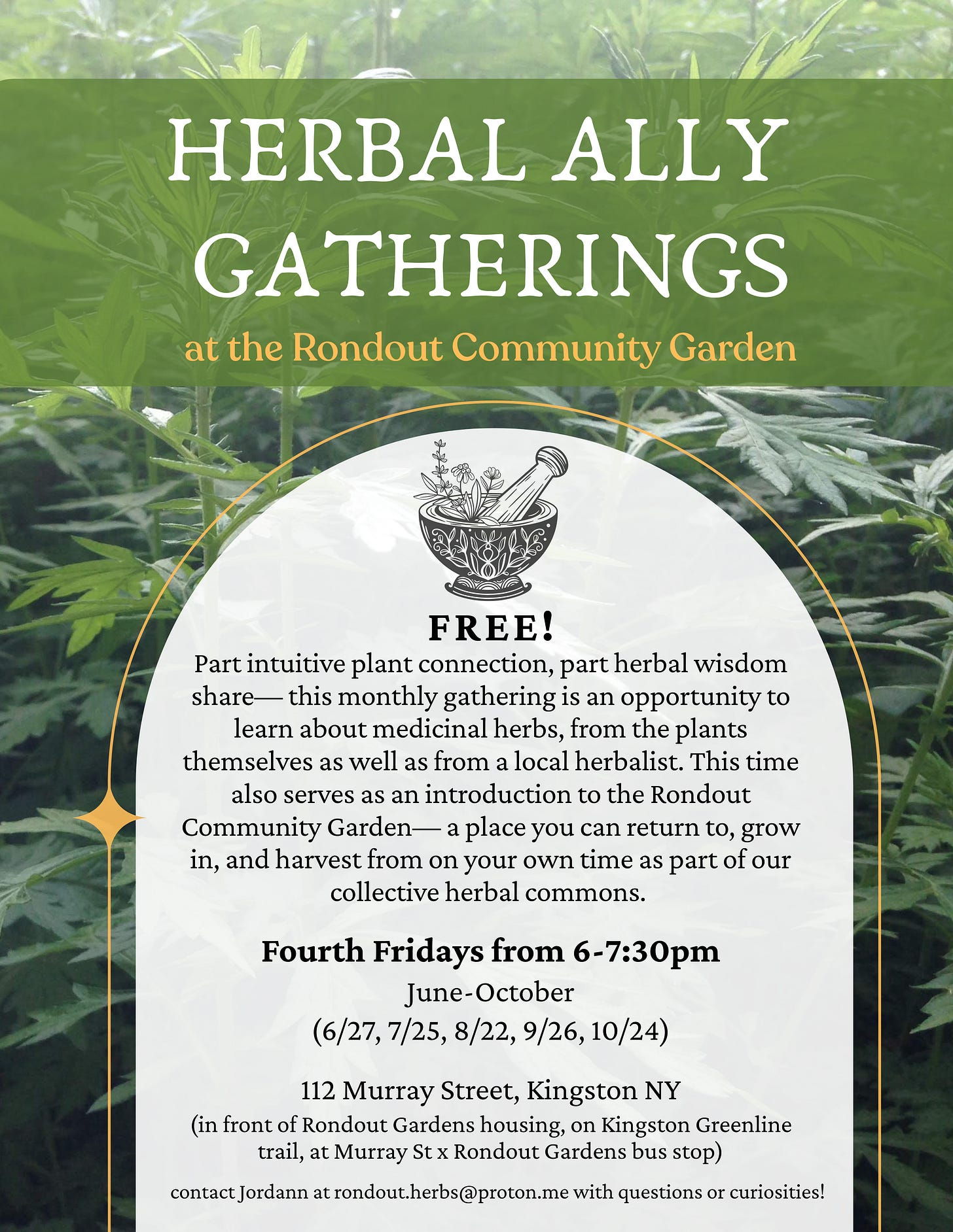 Free! Fourth Fridays from 6-7:30pm,  June-October (6/27, 7/25, 8/22, 9/26, 10/24)  Rondout Community Garden  112 Murray Street (in front of Rondout Gardens housing, on Kingston Greenline trail, at Murray st x Rondout Gardens bus stop)  Part intuitive plant connection, part herbal wisdom share— this monthly gathering is an opportunity to learn about medicinal herbs, from the plants themselves as well as from a local herbalist. This time also serves as an introduction to the Rondout Community Garden— a place you can return to, grow in, and harvest from on your own time as part of our collective herbal commons. 