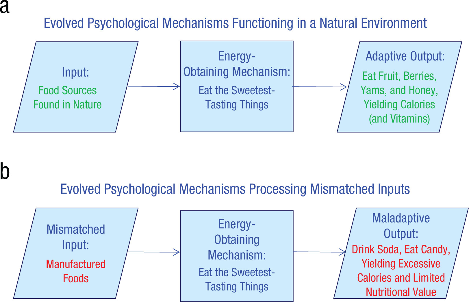 12 Things Everyone Should Know About Evolutionary Psychology