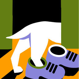 Furball Confidential