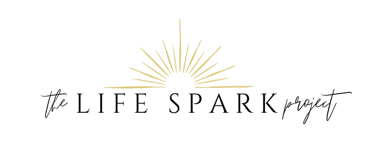 The version of the workshop presented here was recorded as a live event co-hosted by The Life Spark Project. This image is The Life Spark Project’s logo