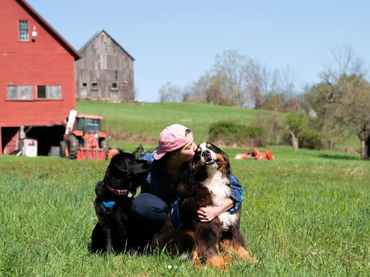 A picture of Kate Speer in a field in vermont with a red barn in the background, cuddling her two psychiatric service dogs, Waffle a newfoundland, and Tugboat, a black English labrador. A picture of Kate Speer in a field in vermont with a red barn in the background, cuddling her two psychiatric service dogs, Waffle a newfoundland, and Tugboat, a black English labrador.