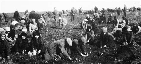 How Joseph Stalin Starved Millions in the Ukrainian Famine | HISTORY