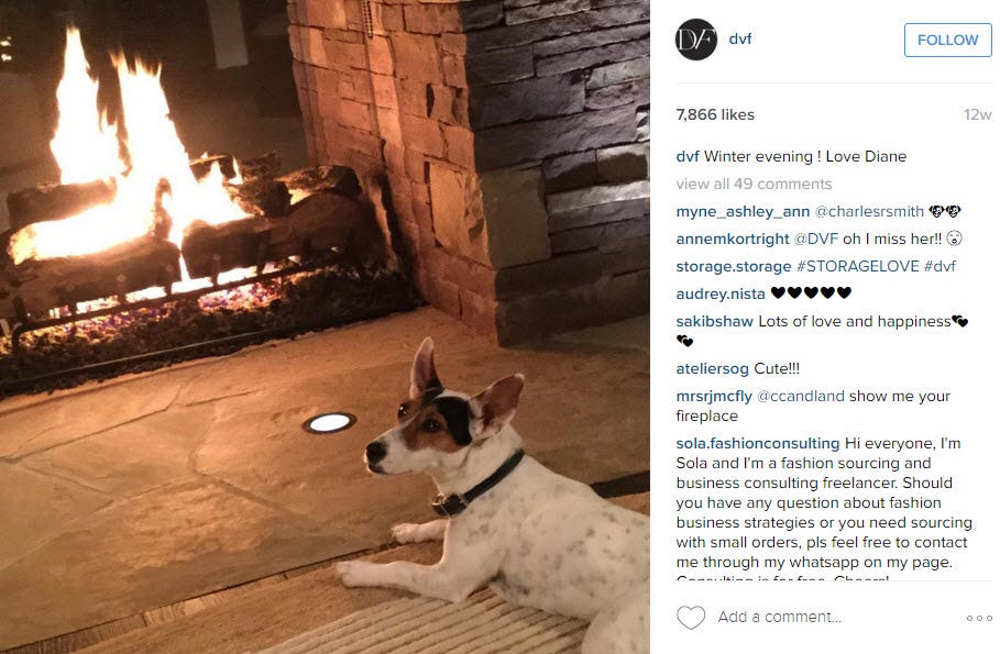 diane von furstenberg barry diler cloned dog 2016 diane von furstenberg barry diler cloned dog 2016