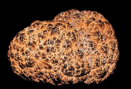 polymetallic nodules