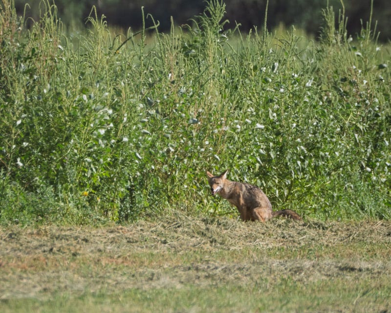 20250908-Manville-764-Edit.jpg 20250908-Manville-764-Edit.jpg