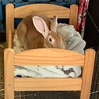 Some things I learned in rehab