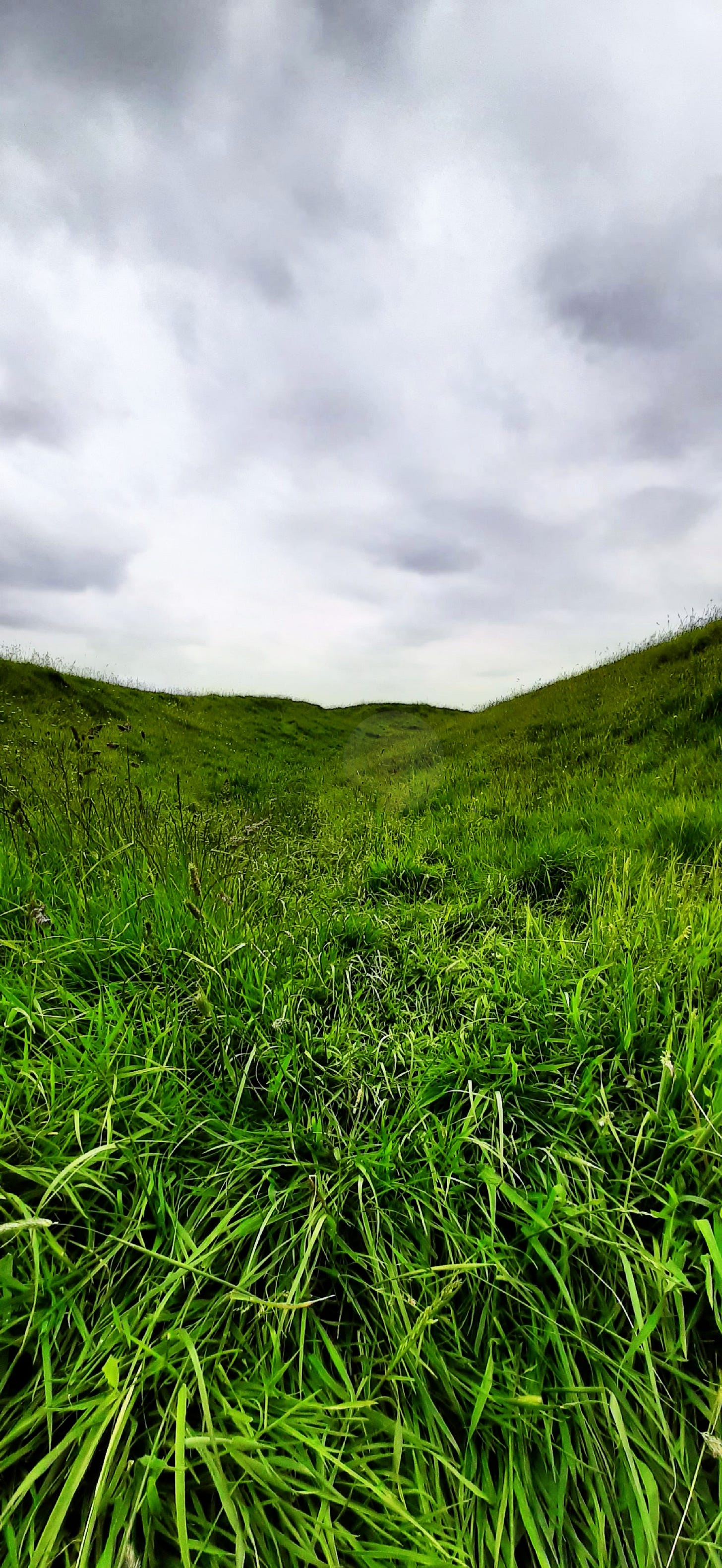 The Creatrix Experience - Hill of Tara - Ireland ©2025 Elizabeth des Roches