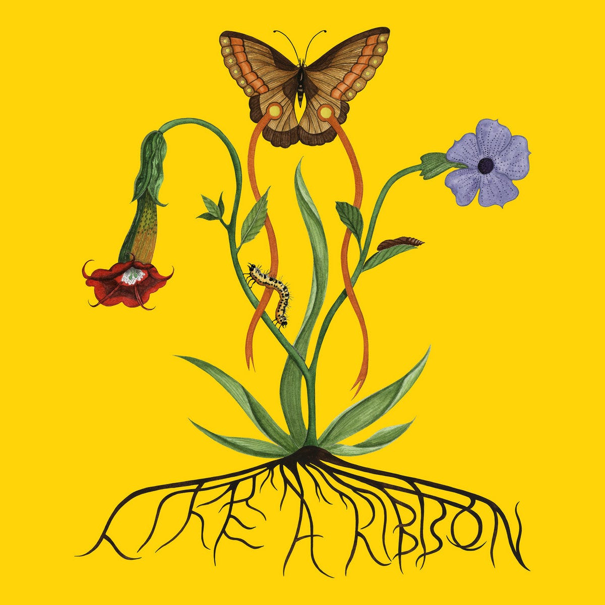Like A Ribbon | John Glacier