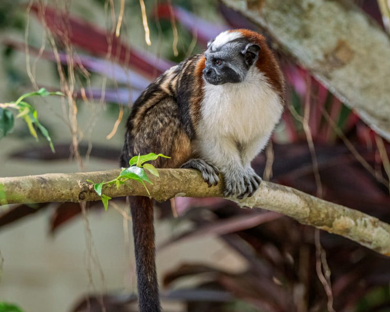 20260218-Panama-35-Edit.jpg 20260218-Panama-35-Edit.jpg