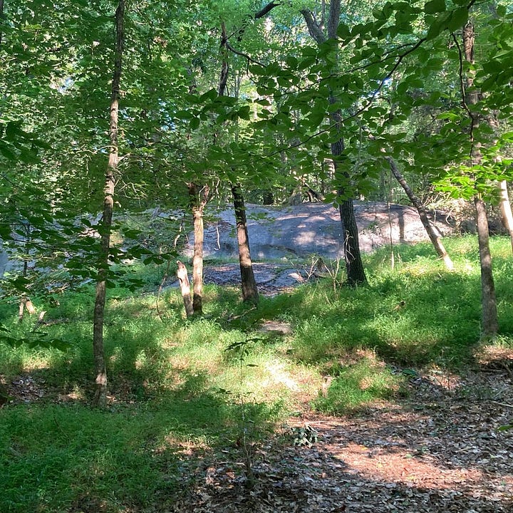 boulders in the woods, and a stream with large rocks