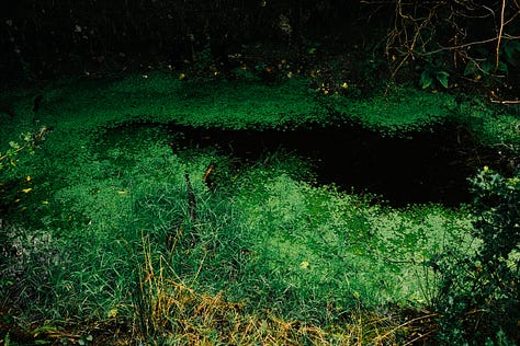 Ireland through Fuji lens by Tyler Knott Gregson