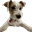 John Beaulieu's avatar