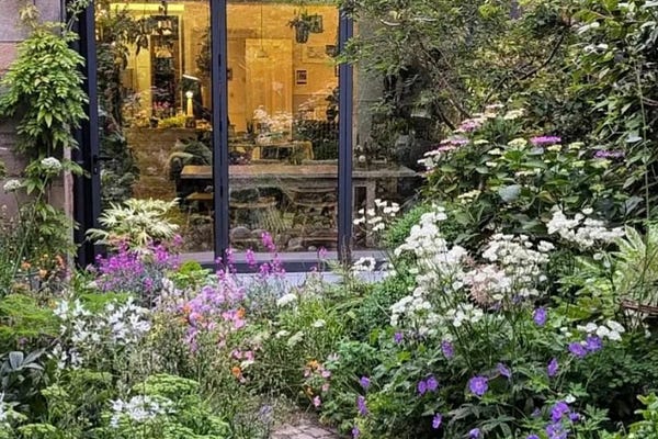 The Gardening Mind by Jo Thompson | Substack