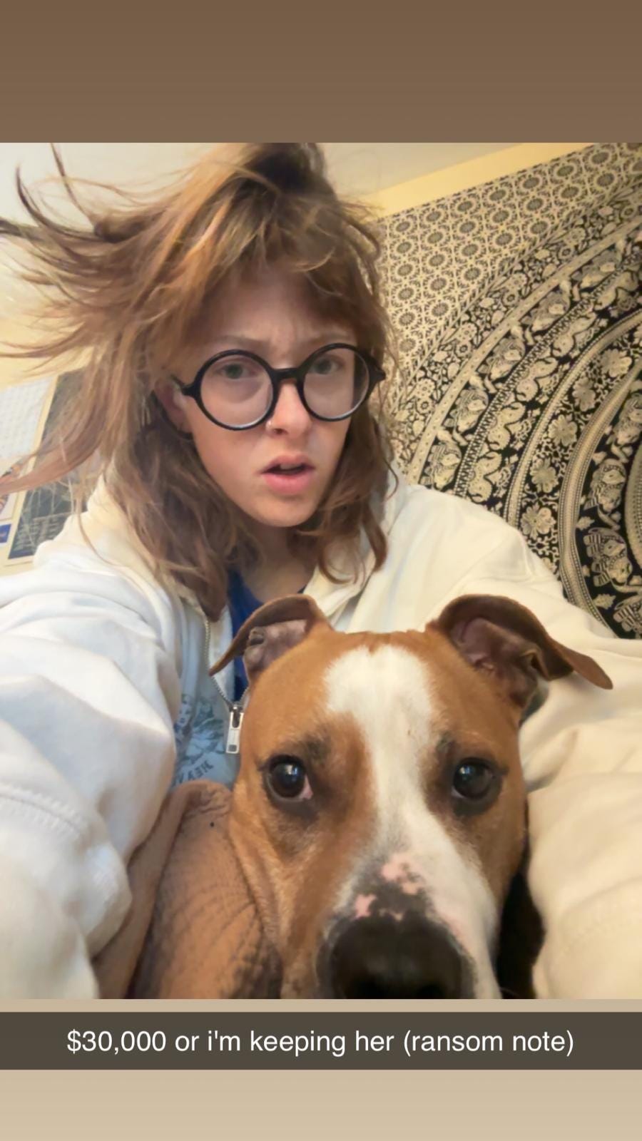 A photo of Z with Marmalade, captioned “$30,000 or i’m keeping her (ransom note)”