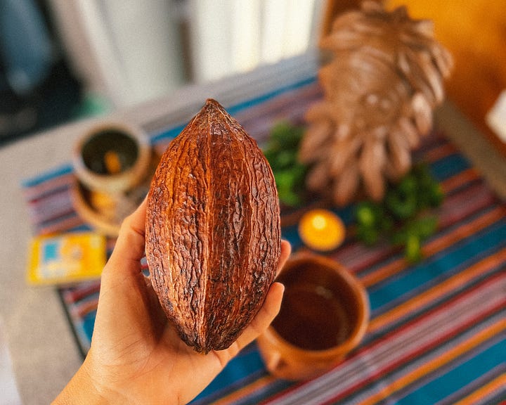 Cabosses de cacao colorées accrochées à un arbre, et cabosses séchées posées sur un Autel aux ancêtres