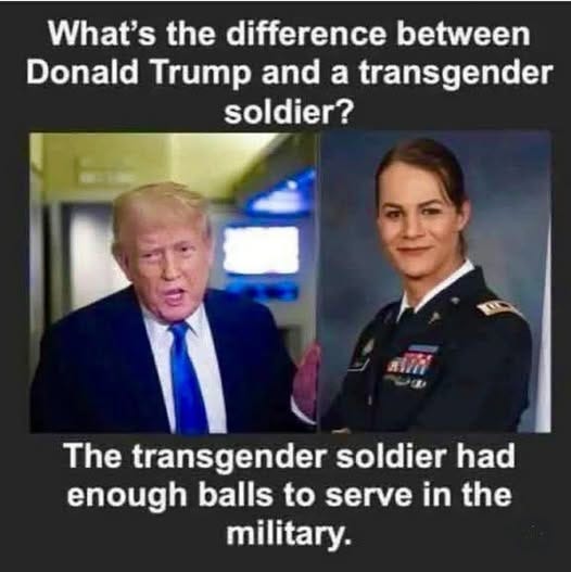 May be an image of 2 people and text that says 'What's the difference between Donald Trump and a transgender soldier? The transgender soldier had enough balls to serve in the military.'