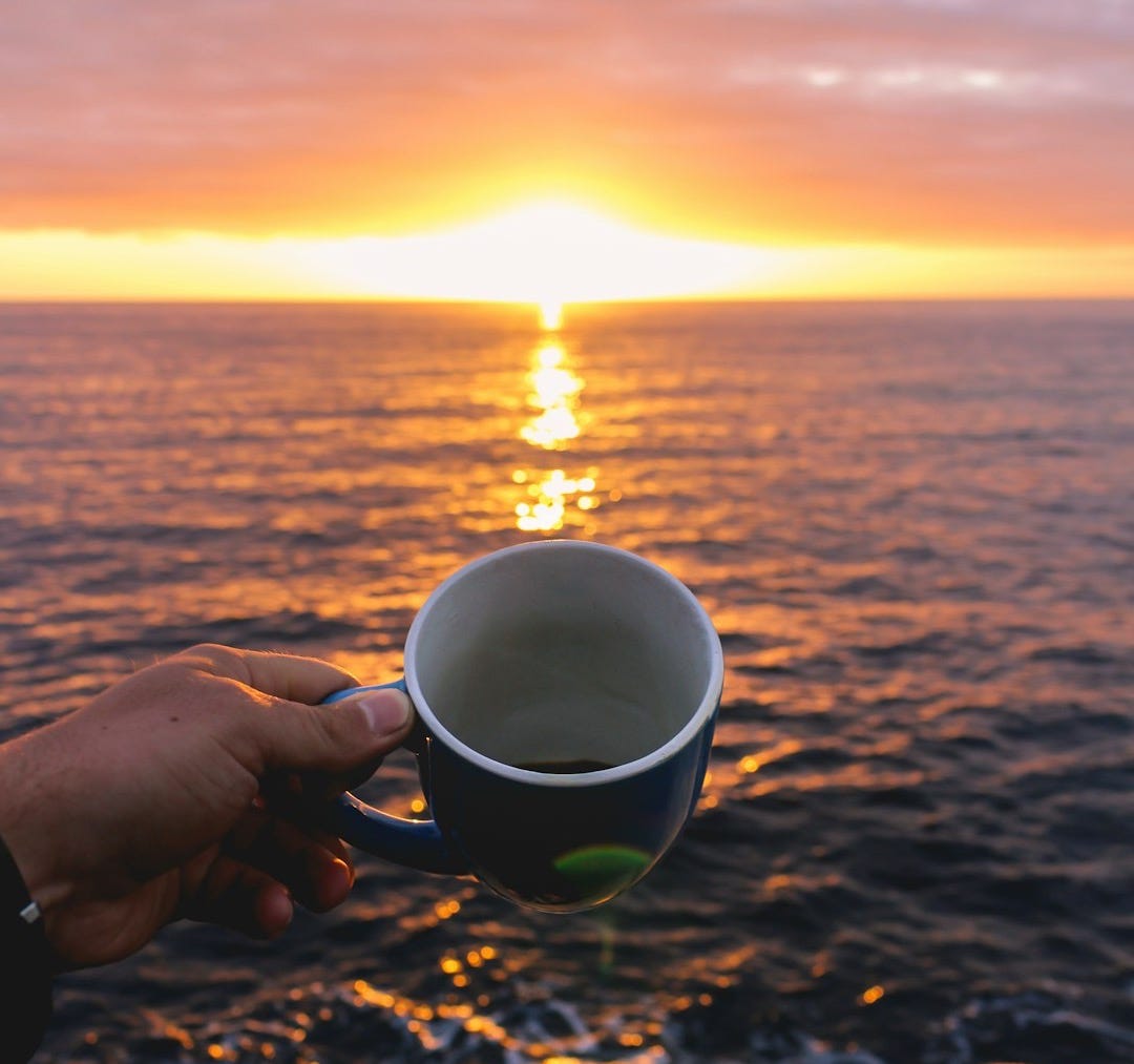 person holding blue cup looking at sunset