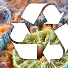 How to Clear Spike Proteins from the Body (Autophagy)