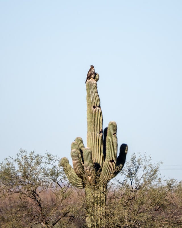 20260117-SCF-350-Edit 2.jpg