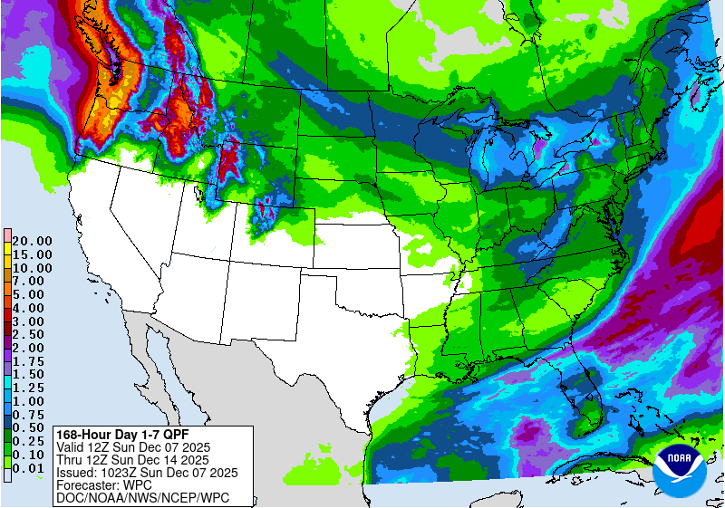 Day 11 image not available