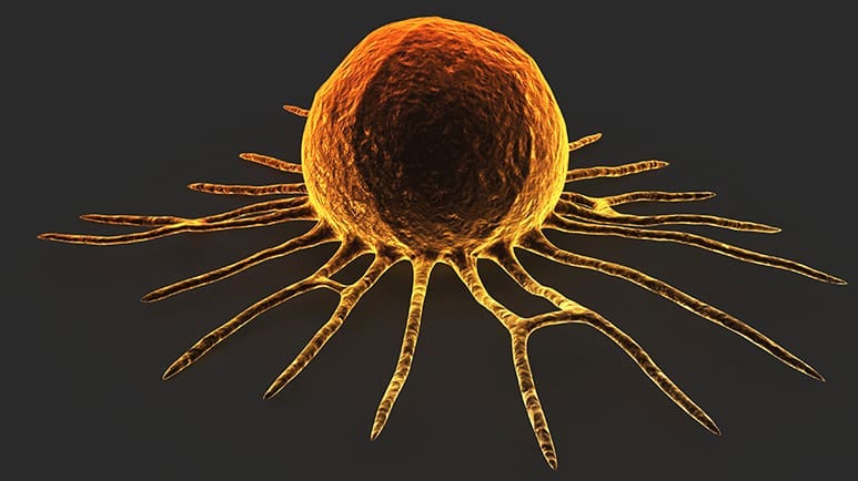 how dmso makes cancer treatments more effective