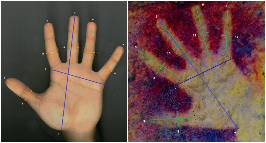 Comparing hand measurement from a contemporary child and an ancient hand painting from a Spanish cave. Photo courtesy of Verónica Fernández-Navarro. Comparing hand measurement from a contemporary child and an ancient hand painting from a Spanish cave. Photo courtesy of Verónica Fernández-Navarro.