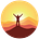 Sunset Obsession Newsletter