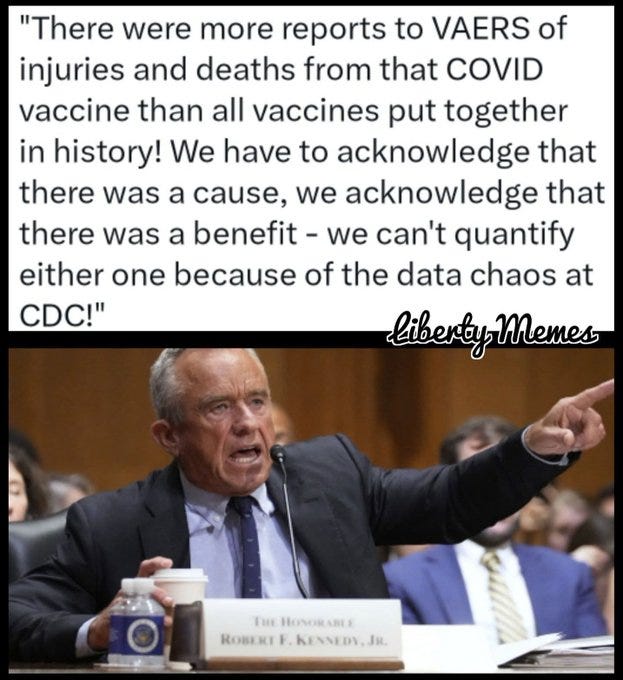 Robert F. Kennedy Jr. speaking at a hearing, pointing forward with his right hand. He is seated at a table with a microphone, a coffee cup, and a nameplate reading "Robert F. Kennedy Jr." A watermark "Liberty_Memes" is visible in the bottom right corner. Robert F. Kennedy Jr. speaking at a hearing, pointing forward with his right hand. He is seated at a table with a microphone, a coffee cup, and a nameplate reading "Robert F. Kennedy Jr." A watermark "Liberty_Memes" is visible in the bottom right corner.