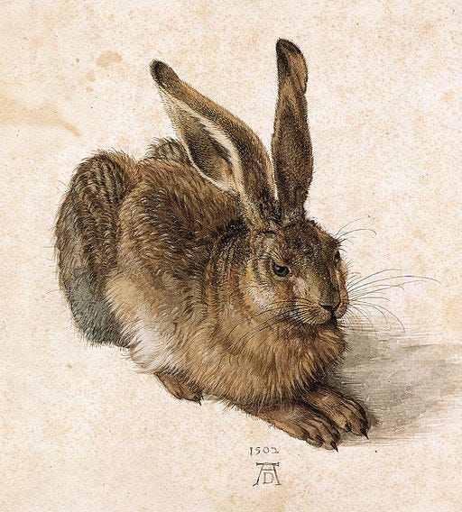 Illustrazione naturalistica di una lepre realizzata da Albrecht Dürer nel 1502, con dettagli realistici del pelo e delle orecchie, su fondo neutro. Illustrazione naturalistica di una lepre realizzata da Albrecht Dürer nel 1502, con dettagli realistici del pelo e delle orecchie, su fondo neutro.