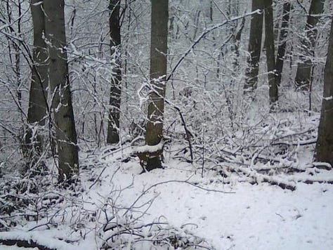 Snow in West Virginia