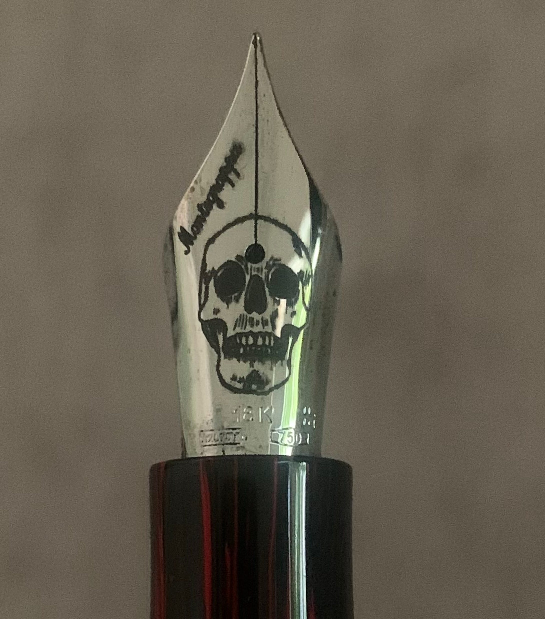 The Montegrappa Skulls and Roses is the best pen for managing your