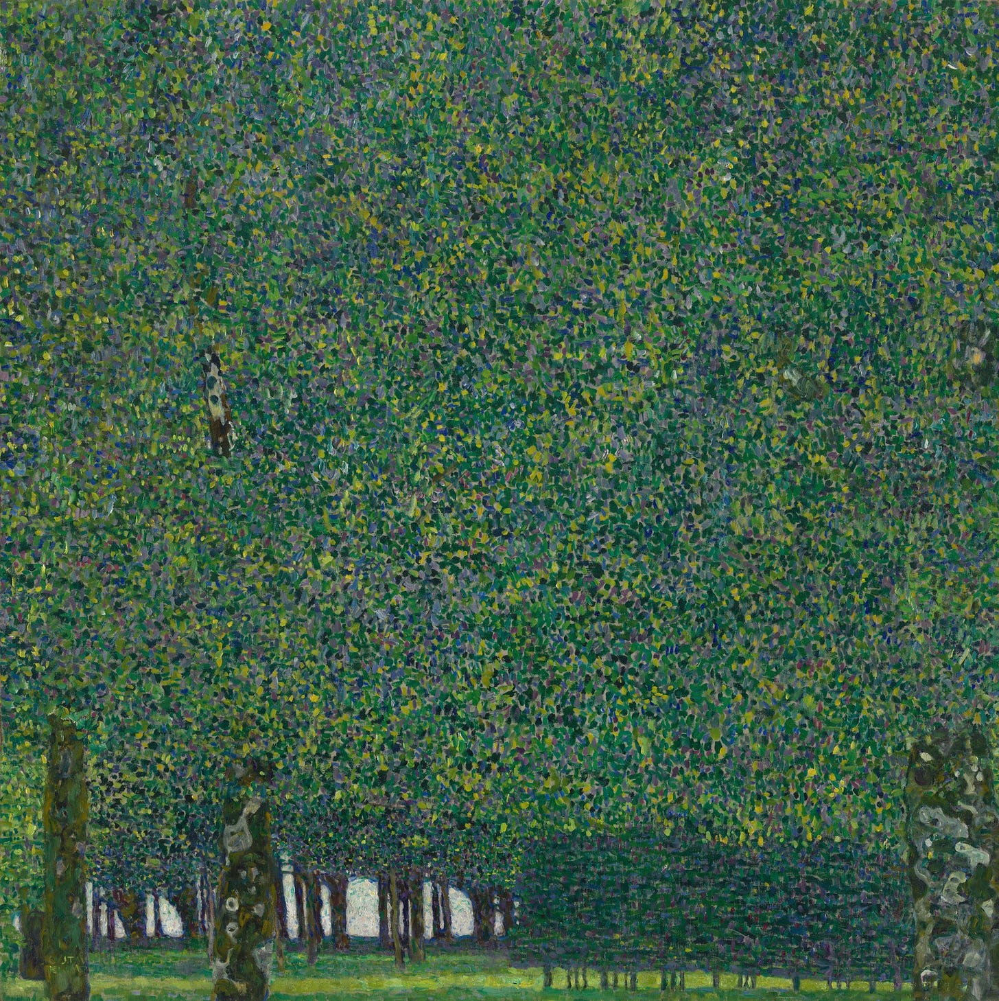Klimt's The Park, a square canvas filled with green treetops in small touches of paint Klimt's The Park, a square canvas filled with green treetops in small touches of paint