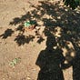 paula d's avatar