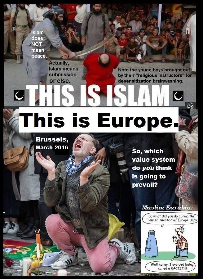 bracken-dhimmi bracken-dhimmi