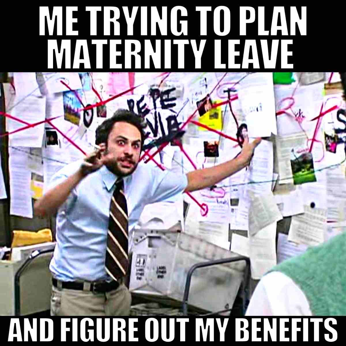 Pregnancy Memes - Funny Humor For Being Pregnant For 9 Months