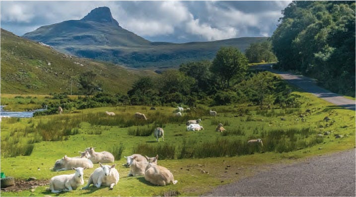 the highland controversy was resolved the highland controversy was resolved