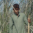 Should Curators Resist Over-Explaining Art?