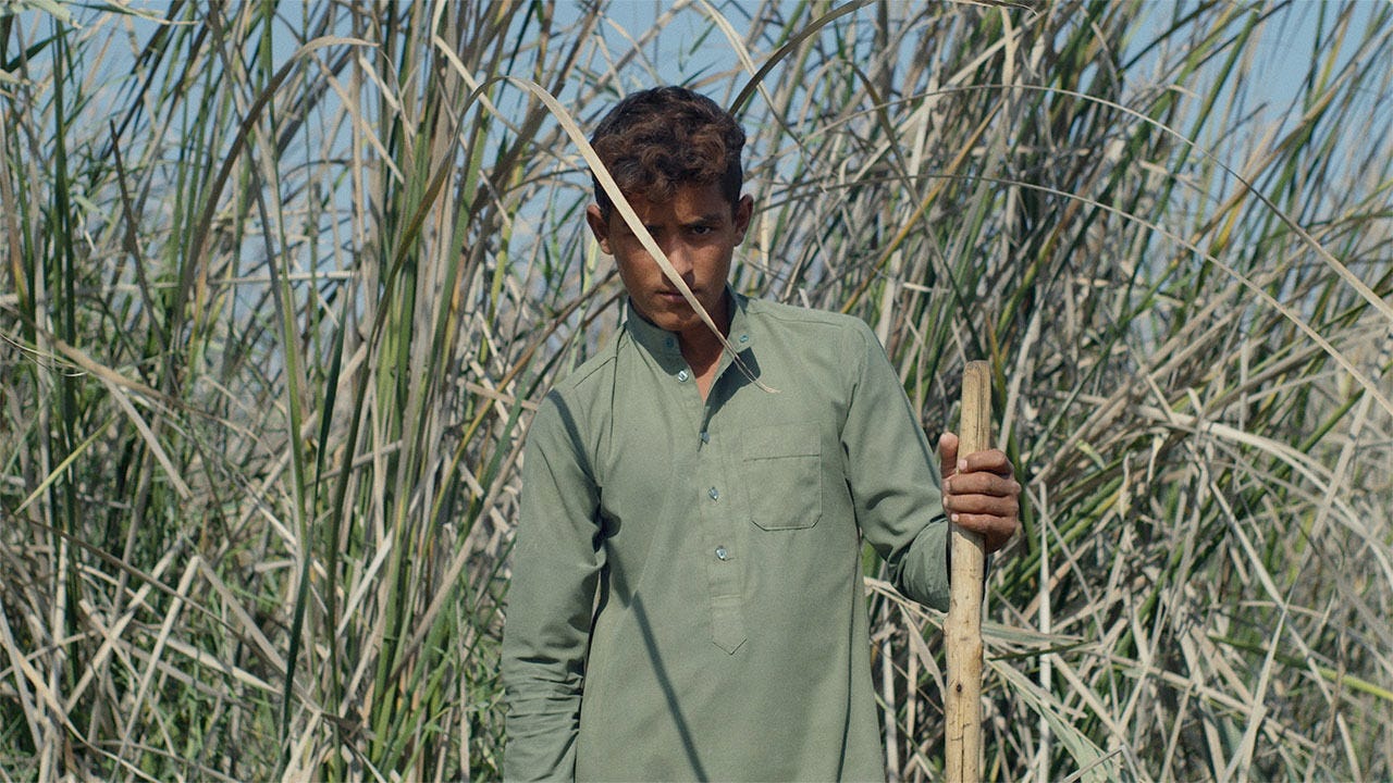 Alia Farid: Chibayish | Whitney Museum of American Art