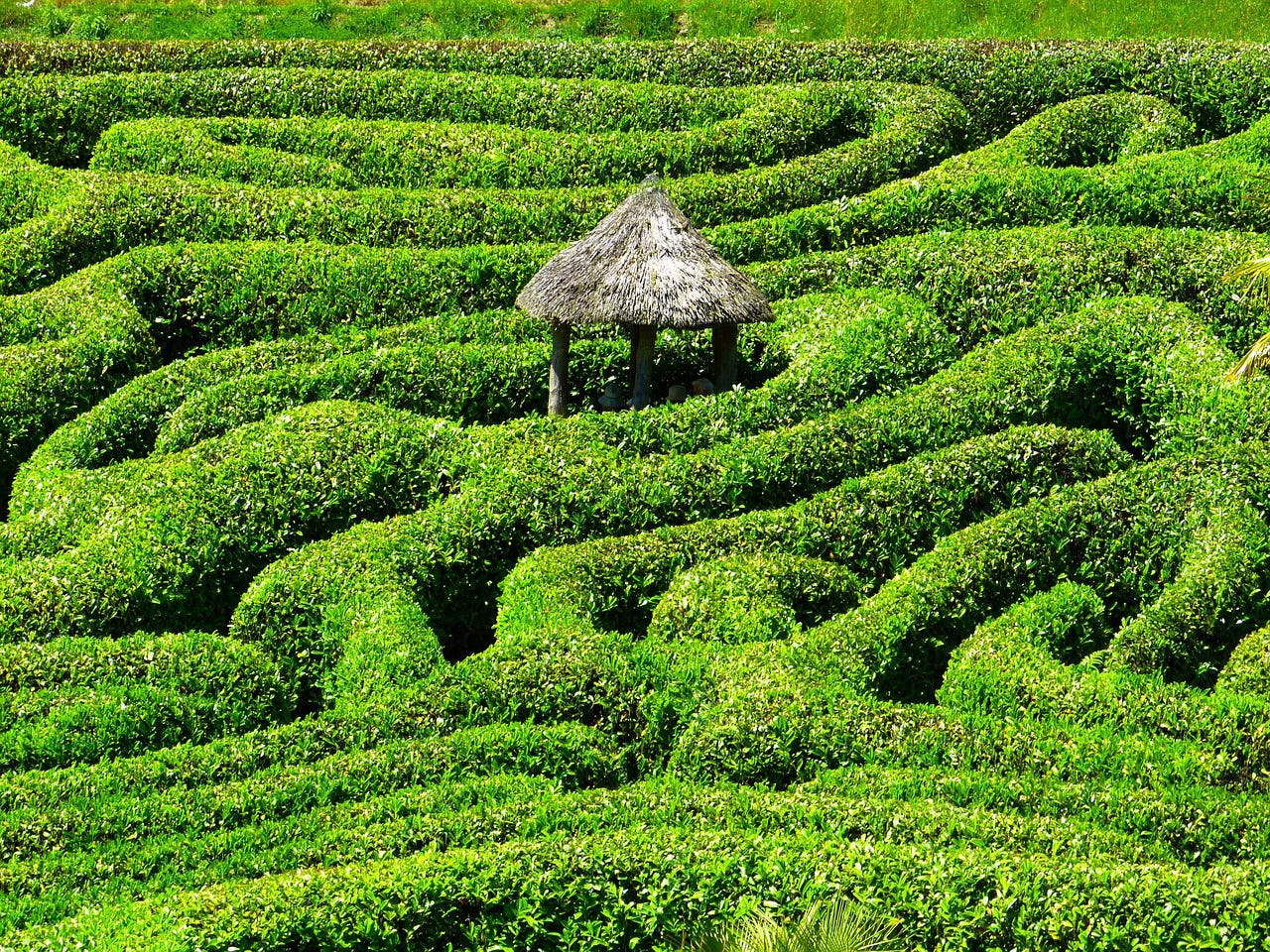 Maze & Labyrinth - Image by LoggaWiggler from Pixabay