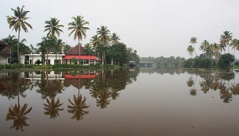 Six images: grey sky and brown water, with trees reflected as if in a mirror; grey sky and brown water with a red-roofed house and palm trees, also reflected as if in a mirror, purple swamphen among water hyacinth, man in a yellow shirt in a canoe, collecting litter, a duck with a canoe in the background and people fishing, a yellow boat reflected in the water