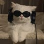 Dhatri's avatar